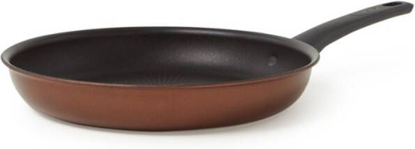Tefal Resource Koekenpan 28 Cm Thermo Signal Duurzaam