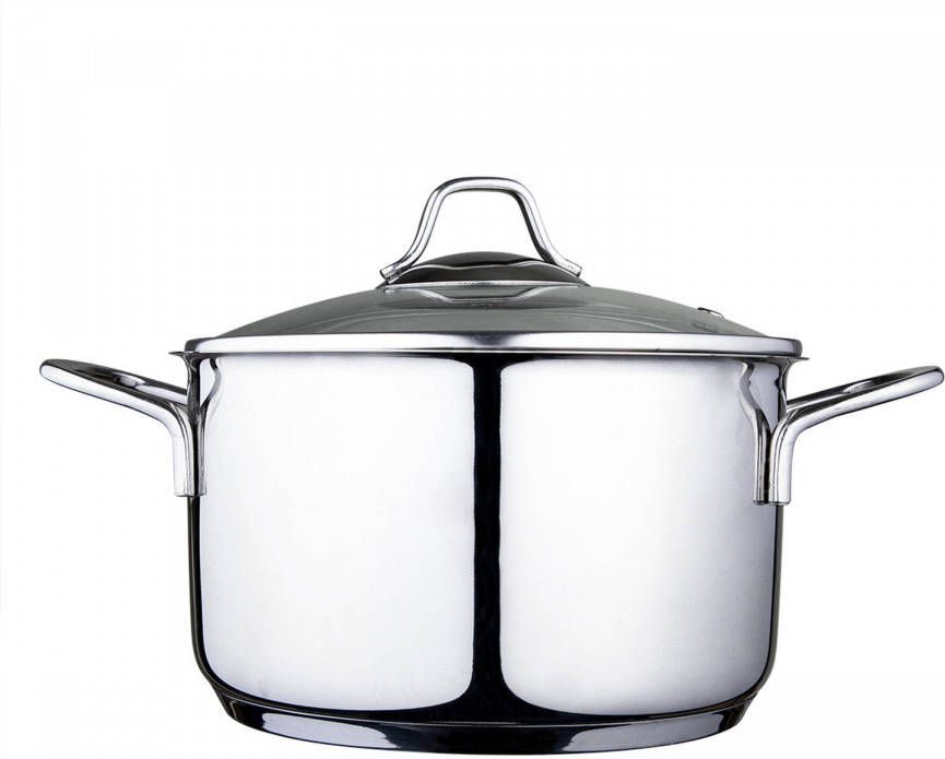 Serenk Modernist Kookpan Inductie Geschikt Rvs Pan 20 Cm