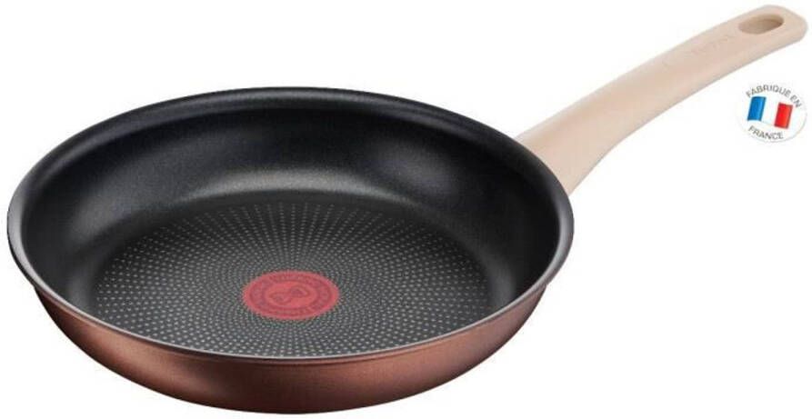 Tefal G2540302 22 Cm Eco respect Koekenpan Antiaanbaklaag Inductie