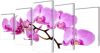 VidaXL Canvas Muurdruk Set Orchidee 200 X 100 Cm online kopen