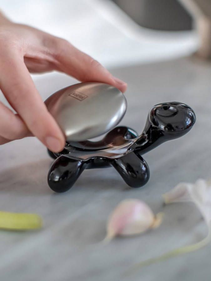 Koziol Zeephouder Amanda 6, 2 X 10 X 4, 7 Cm Rvs Groen/zilver