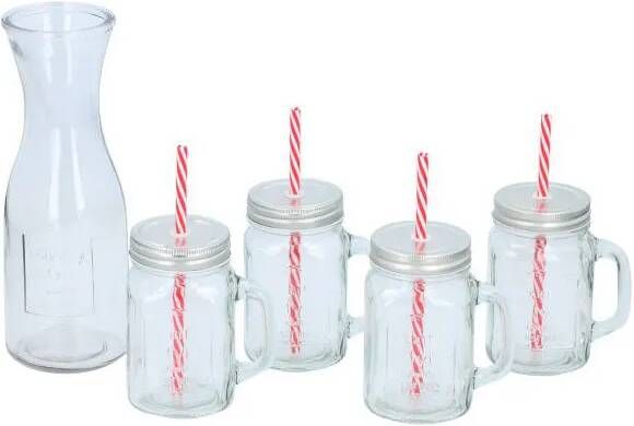 Alpina Drinkset Karaf En 4 Glazen Met Deksel En Rietje 5 Delig