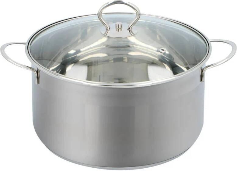 alpina Kookpan Rvs En Glas Alle Warmtebronnen 2, 5 Liter Ø 24 Cm